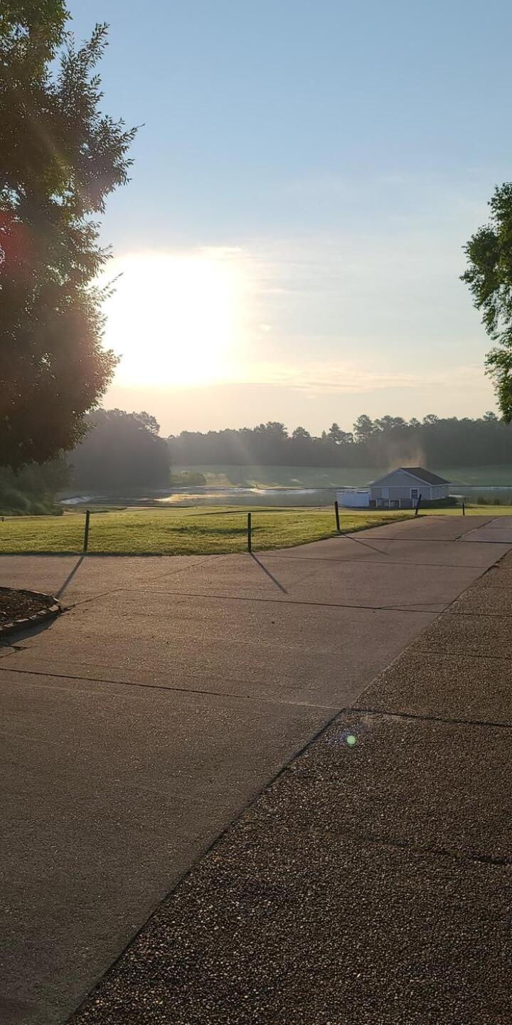 (Photo submitted by Maltenator on 07/08/2020)