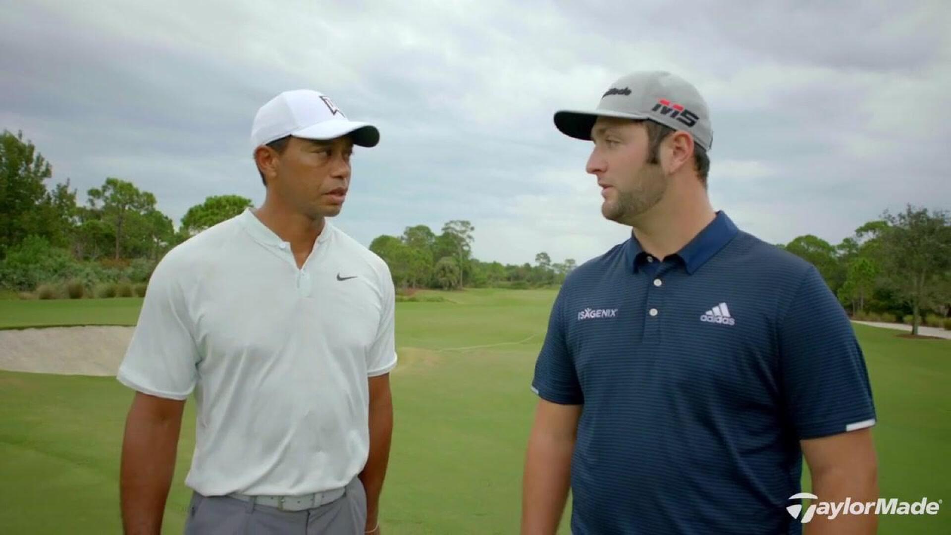 Looking up to Tiger