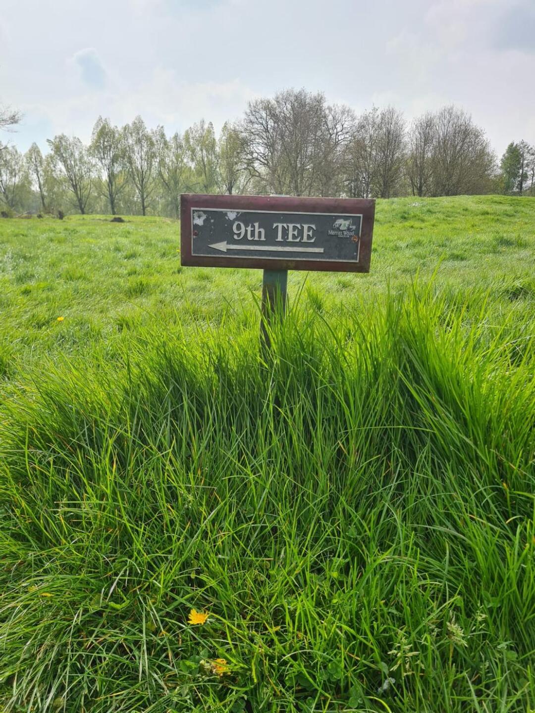 (Photo submitted by 25MjaAHgS4J0qgYkyYWf on 04/30/2023)