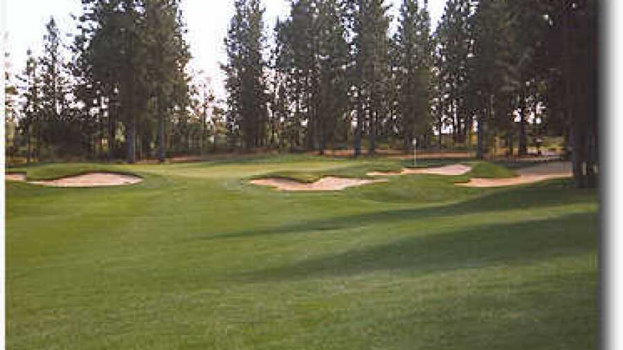 Widgi Creek #14