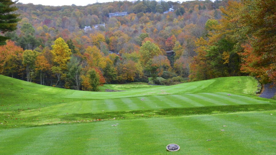 Wildcat Cliffs CC
