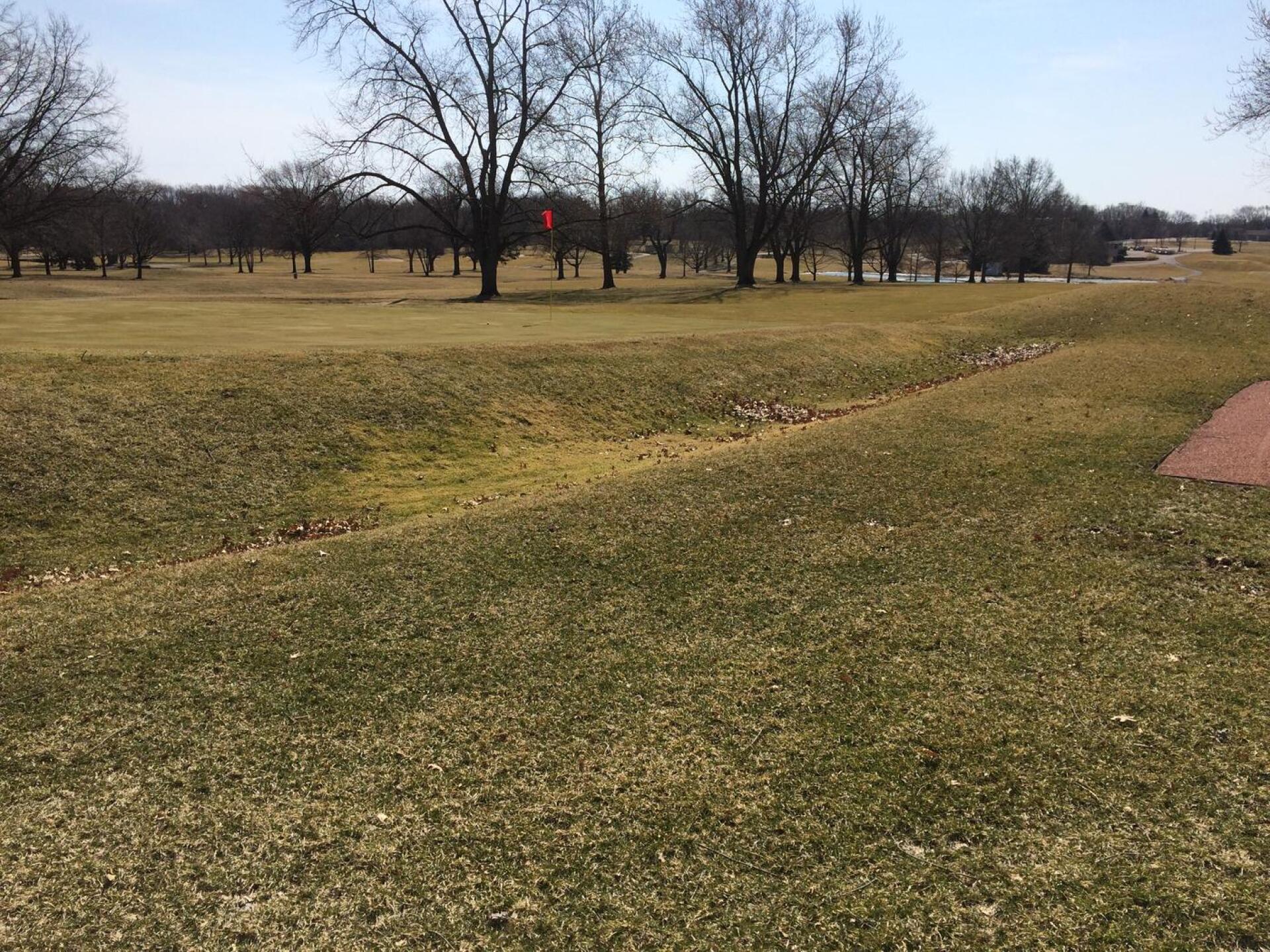 1st green nice back to front slope with some Bedelow design! (Photo submitted by HOTSPOTTS on 03/28/2019)