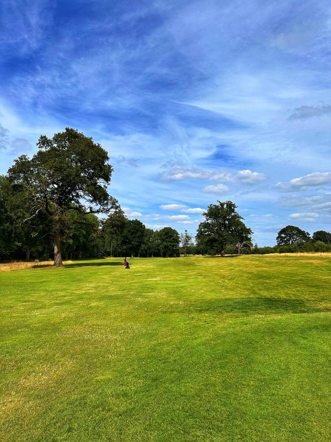 (Photo submitted by t1480257013 on 08/04/2024)