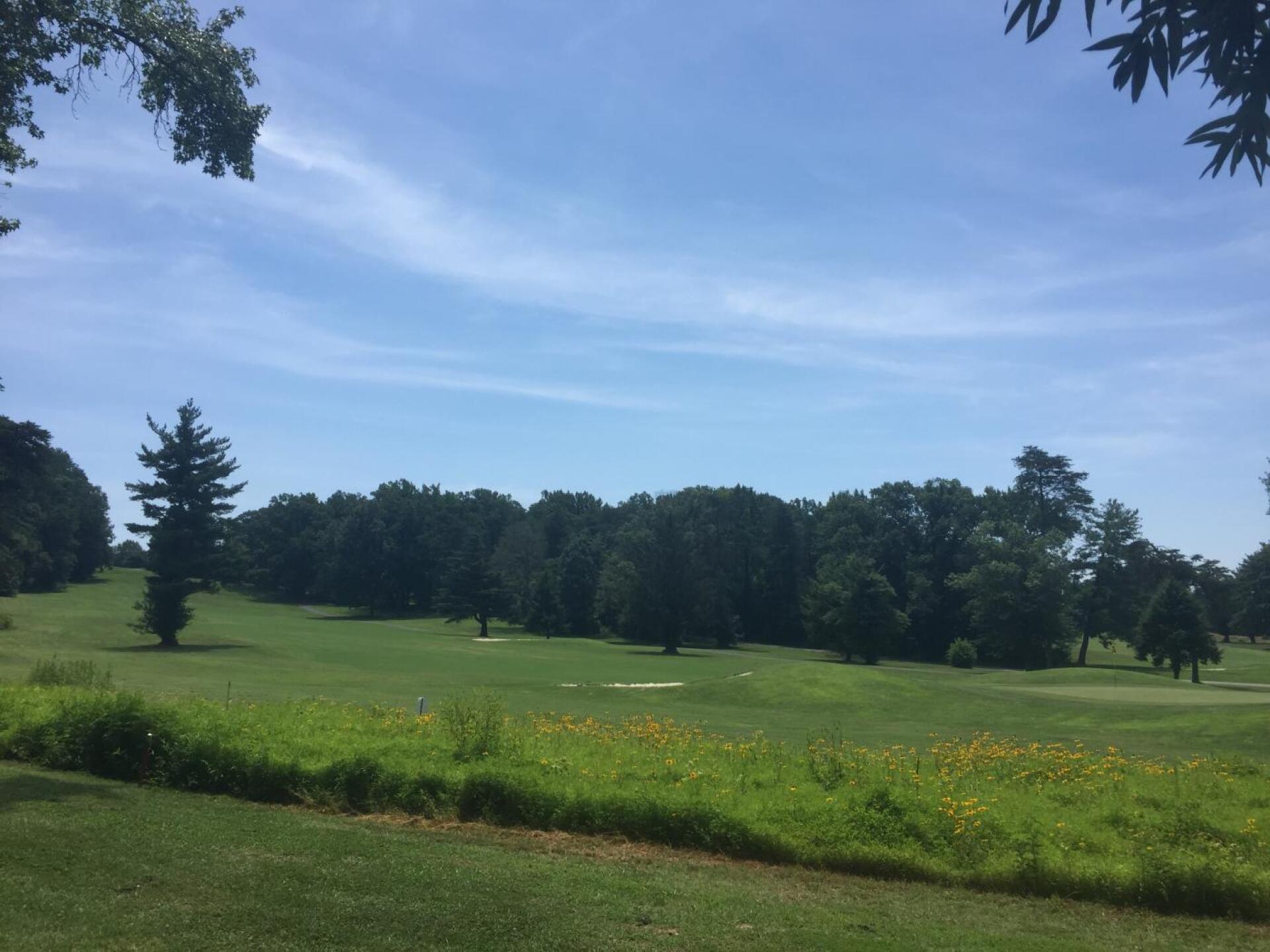 A quite picturesque course (Photo submitted by janeconner1 on 07/10/2019)