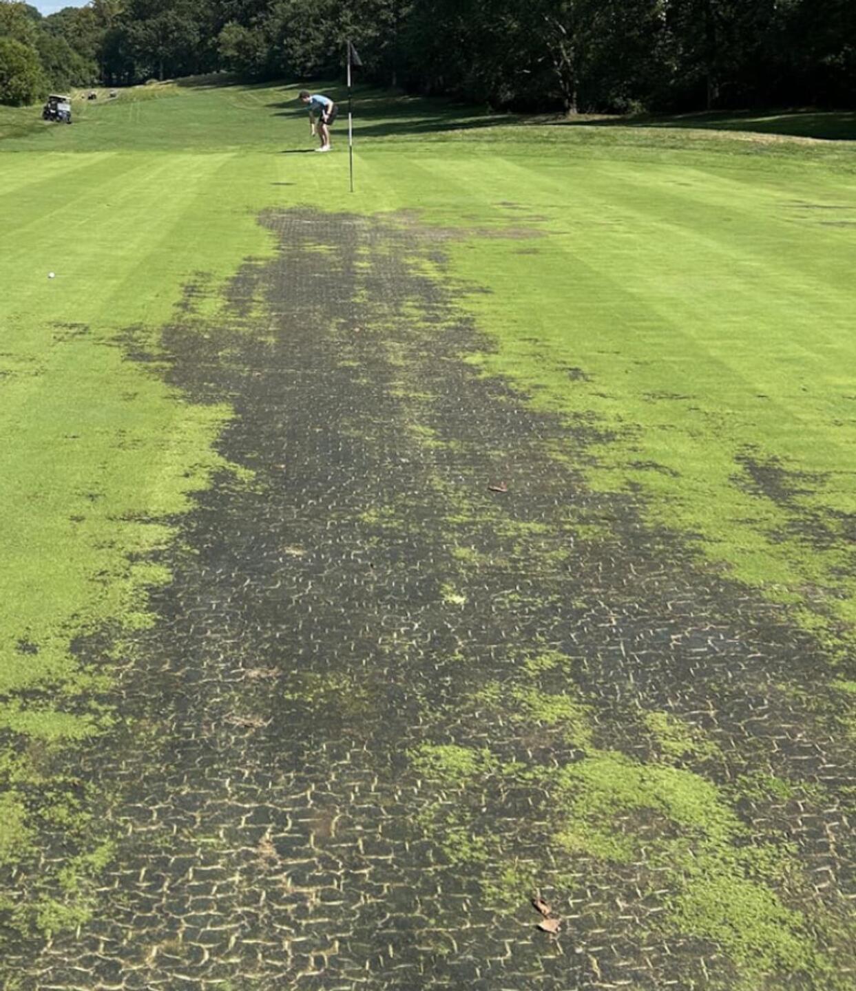 (Photo submitted by u400577896 on 08/06/2025)