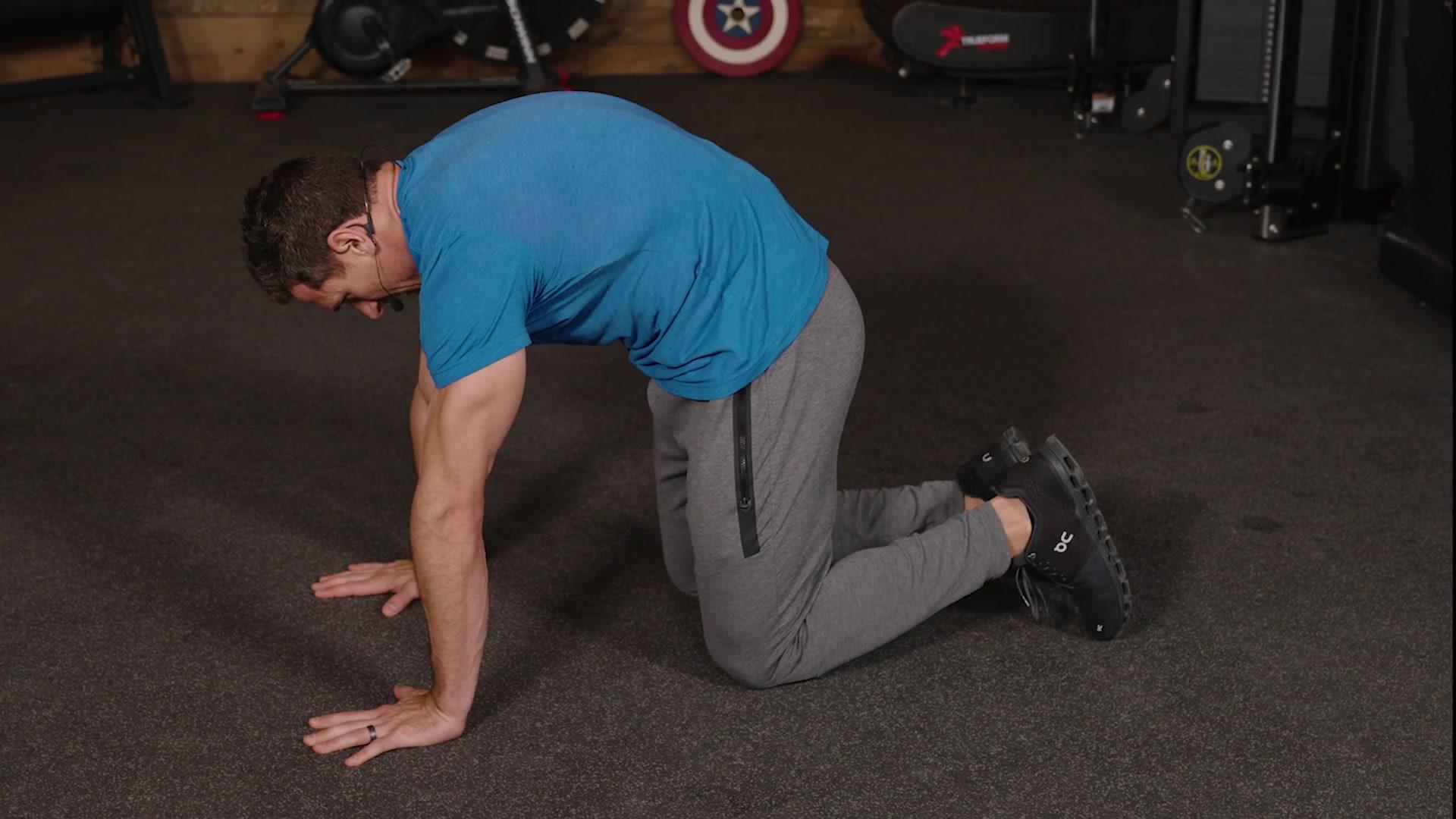 Cats and Dogs Stretch