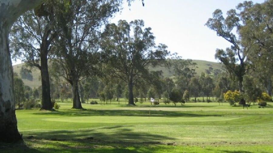 Alexandra GC