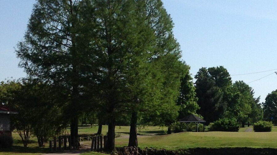 Riverside Golf Center