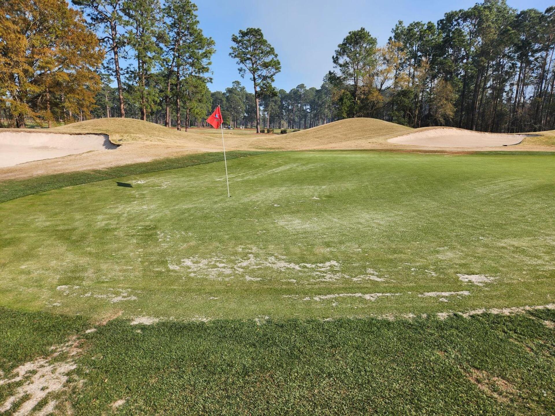 EVERY GREEN LIKE THIS, BAD (Photo submitted by u314166847743 on 03/28/2025)