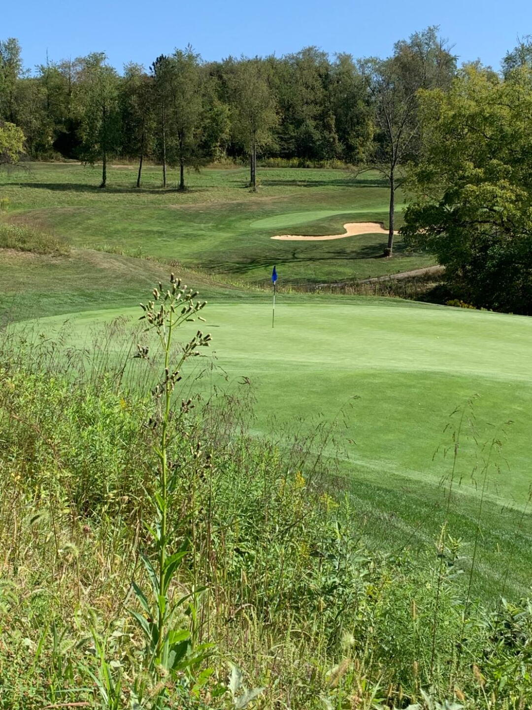 (Photo submitted by Steve3709753 on 09/17/2019)