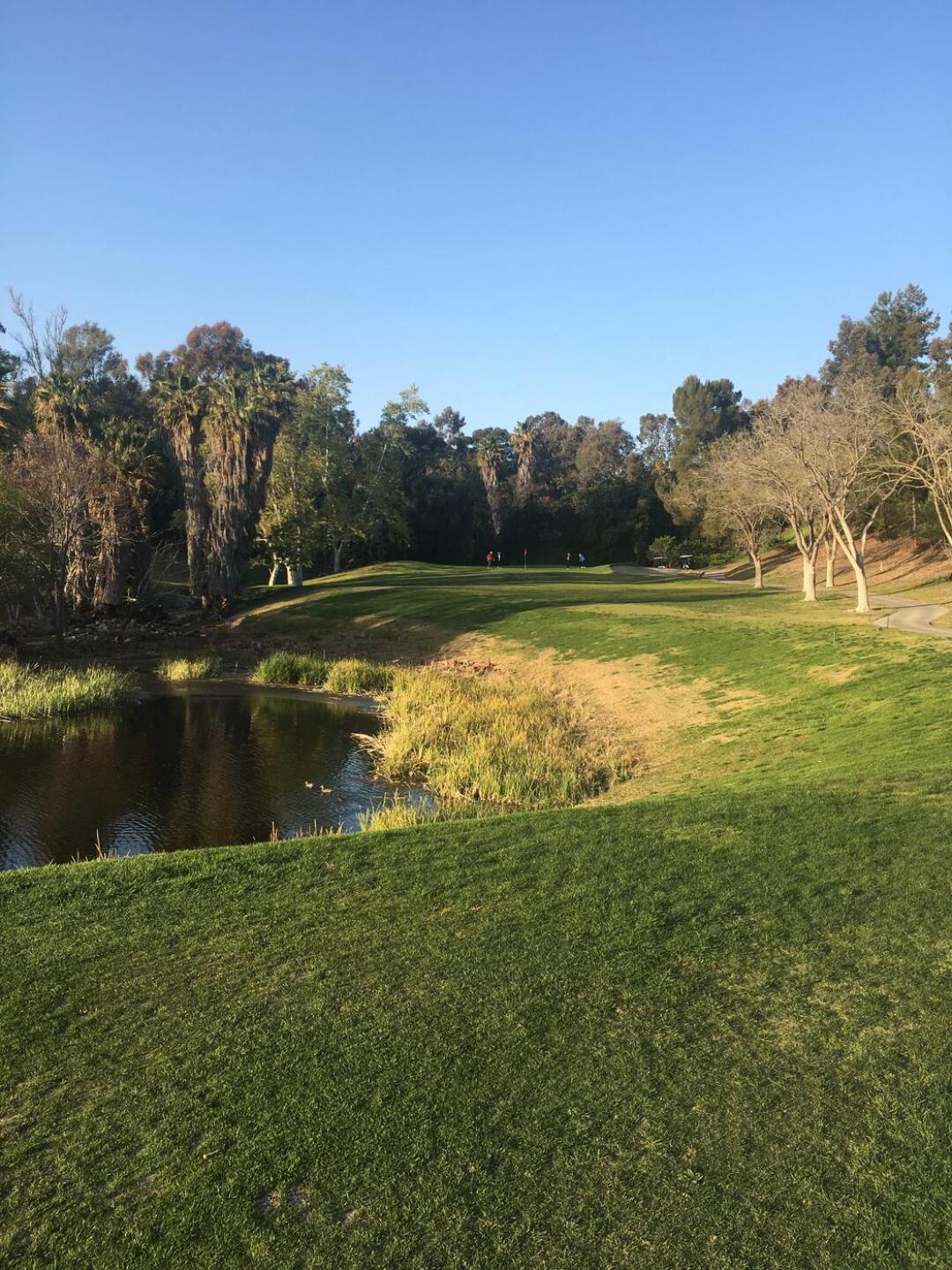 (Photo submitted by mdwright85 on 03/21/2021)