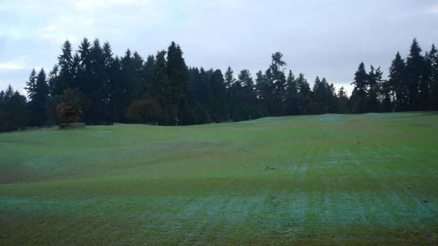 Jackson Park GC: Driving range