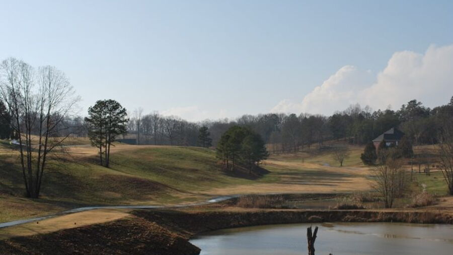 Executive Meadows GC
