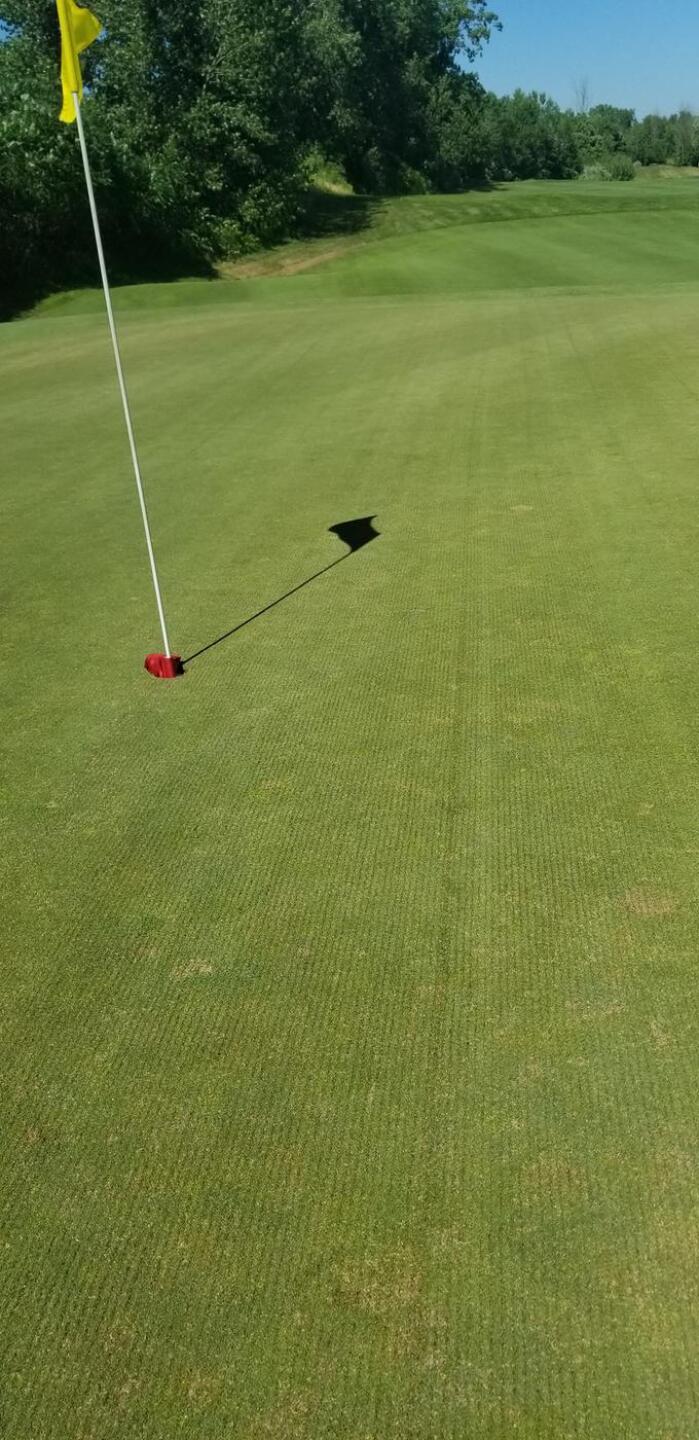 Ruts on all the greens (Photo submitted by Ron2108443 on 07/12/2018)