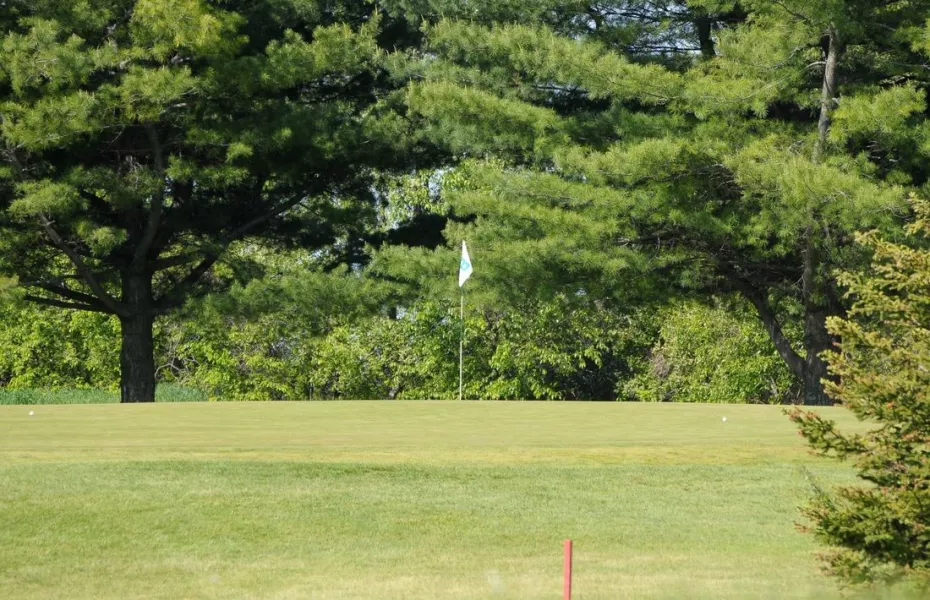 Gladwin Heights GC: #8