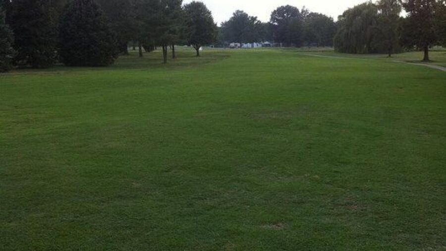 McDonald GC: #8