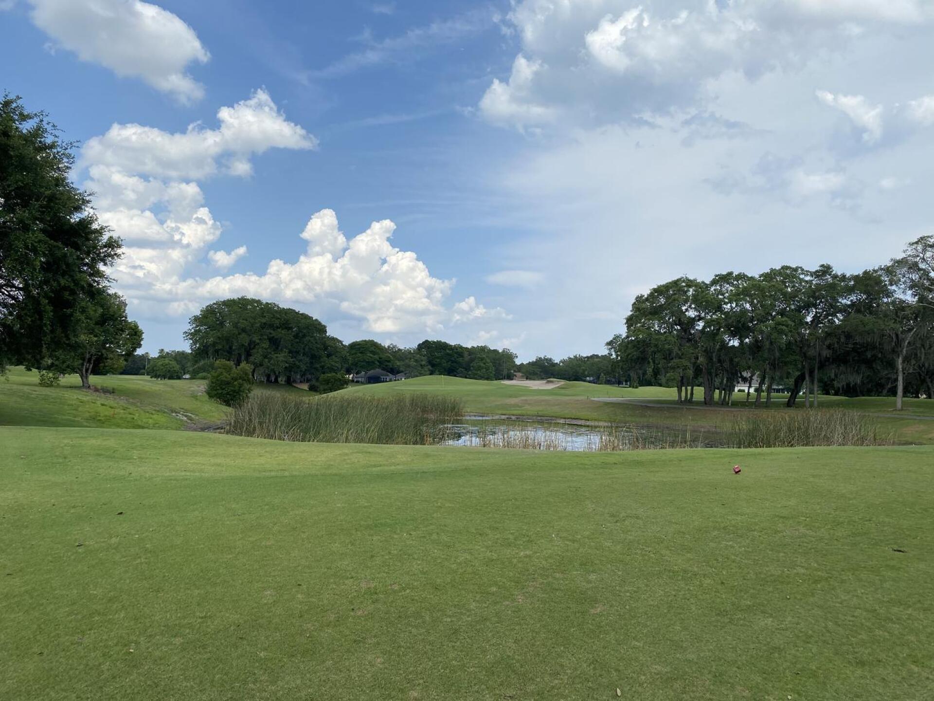 (Photo submitted by flamino70 on 05/19/2022)