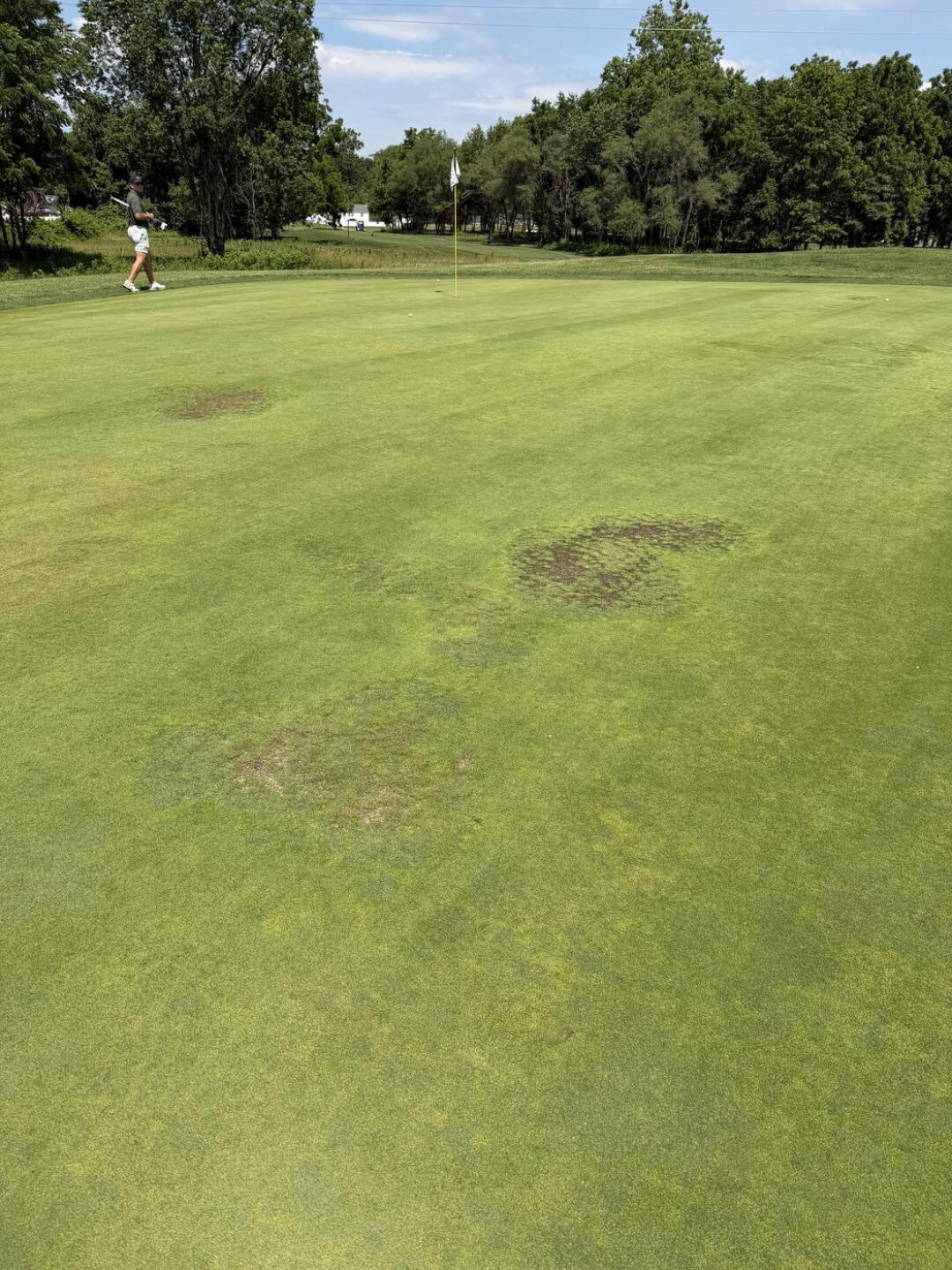 Hole 10 (I think) (Photo submitted by u792906825 on 06/15/2026)