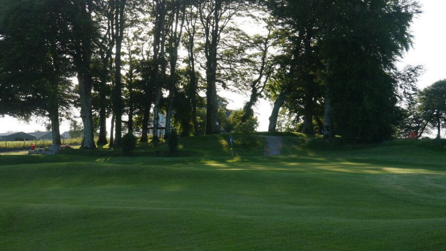 Dunmore Demesne GC: #8