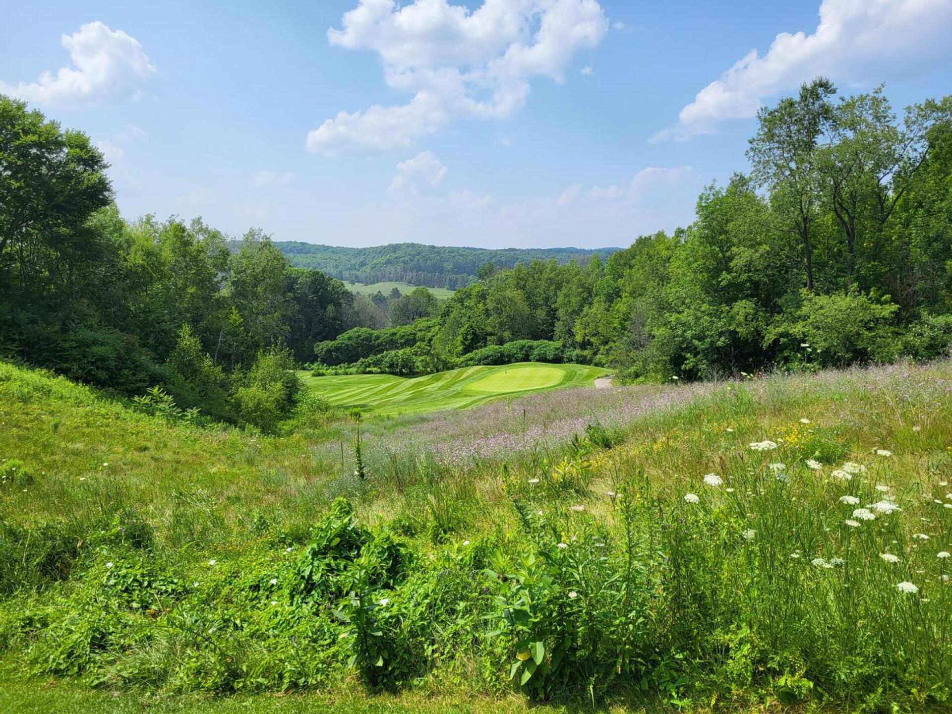 (Photo submitted by qvx24QKsrr3G31qtonTm on 07/25/2023)