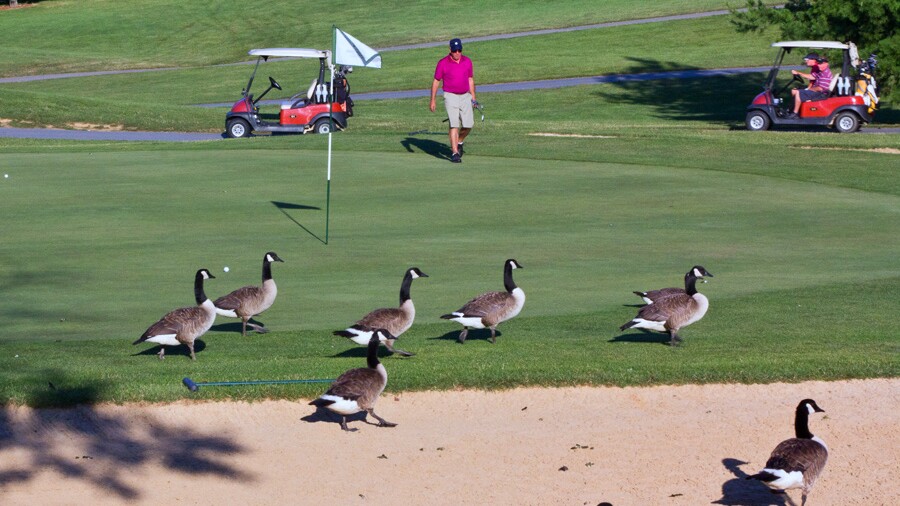 Heritage Hills Golf Course - hole 9