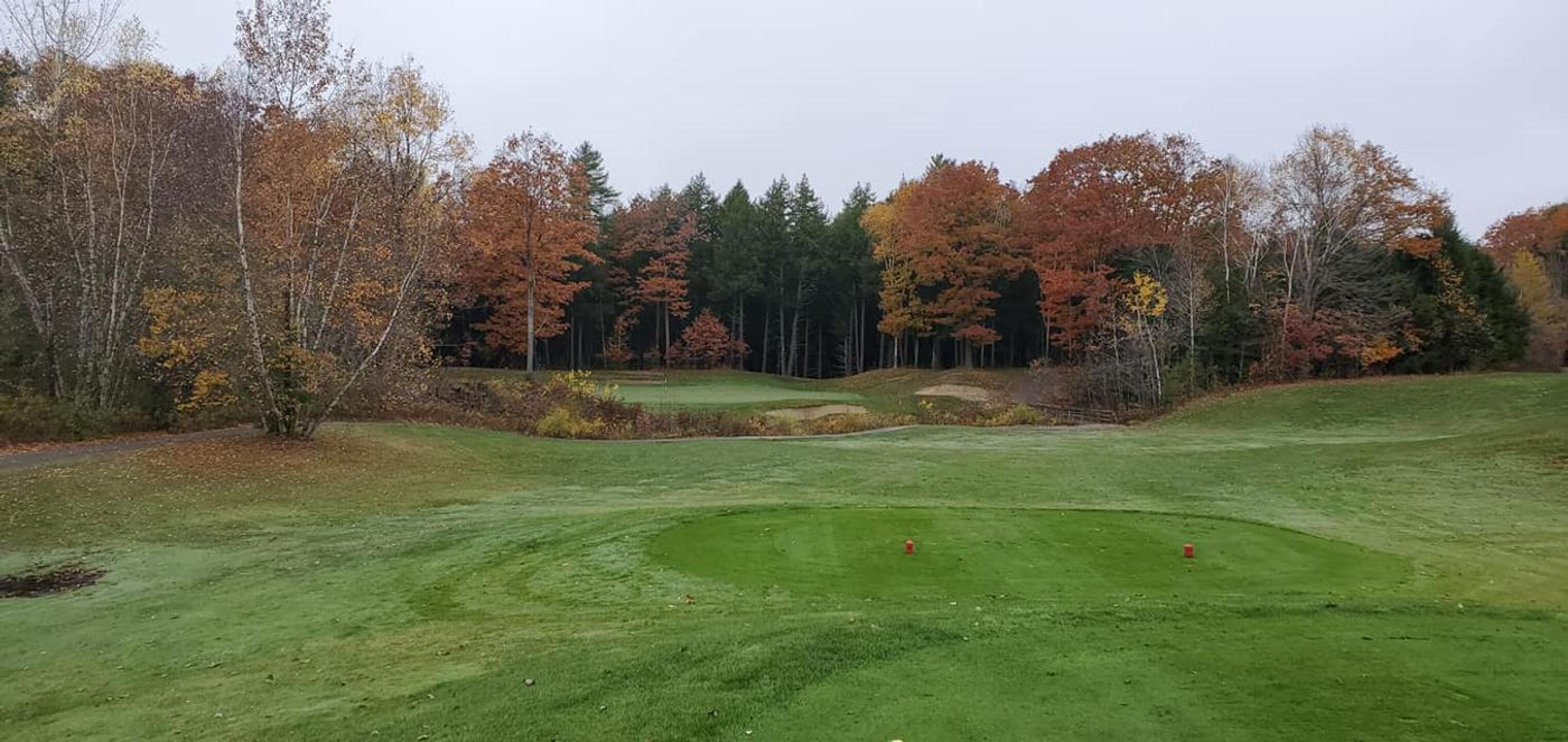 (Photo submitted by STOGIESnBOGEYS on 11/02/2020)