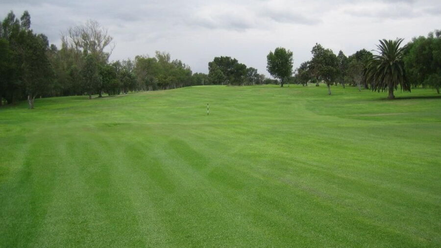 Paradise Knolls: #1