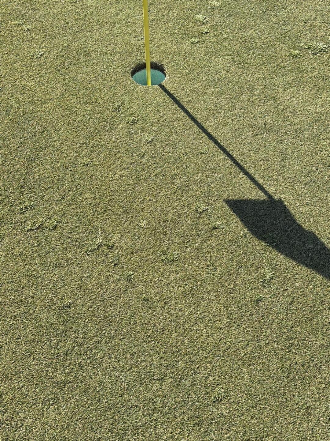 (Photo submitted by lenolaroad on 04/26/2026)