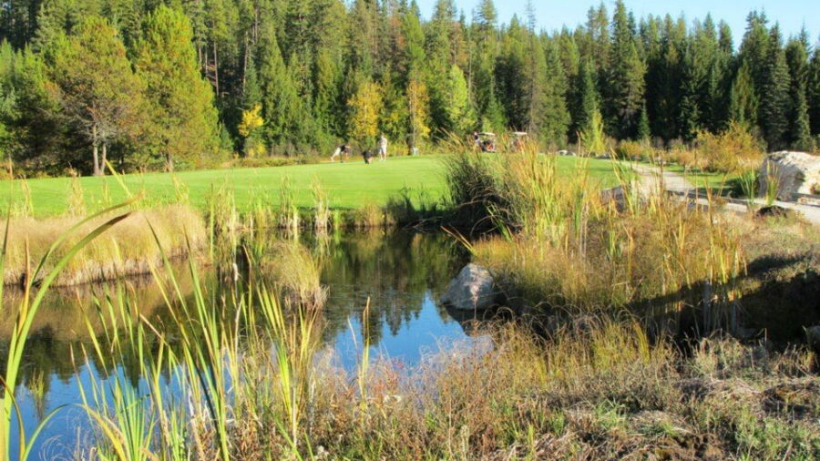 Priest Lake GC: #15
