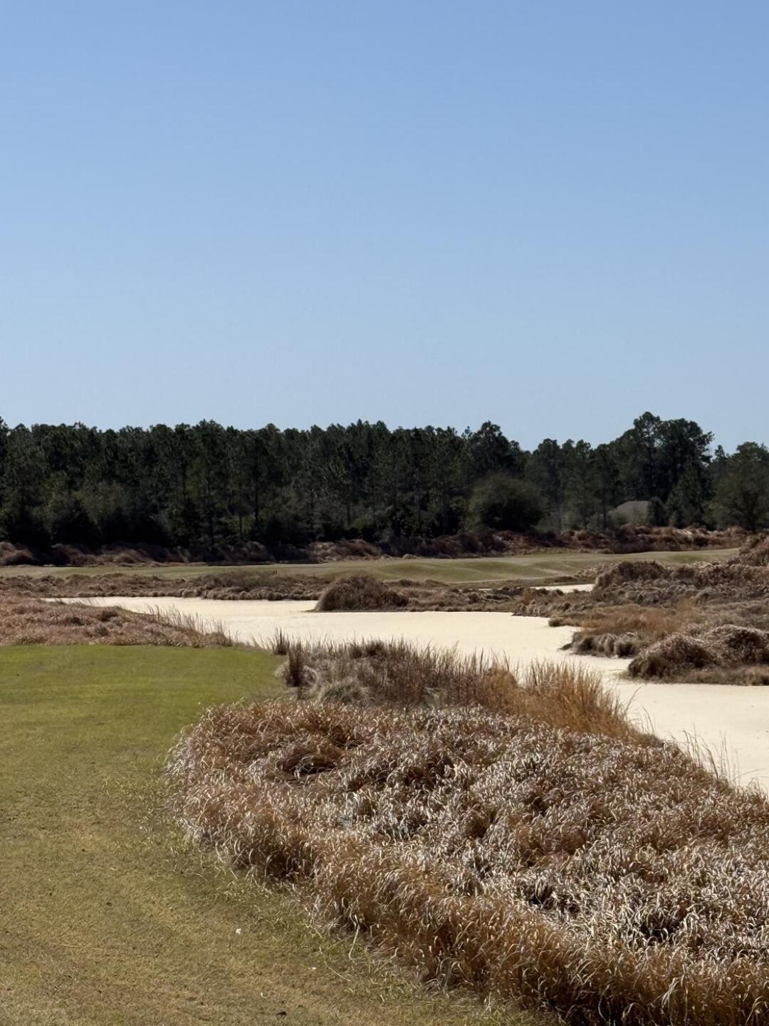 (Photo submitted by u5619753 on 03/06/2025)