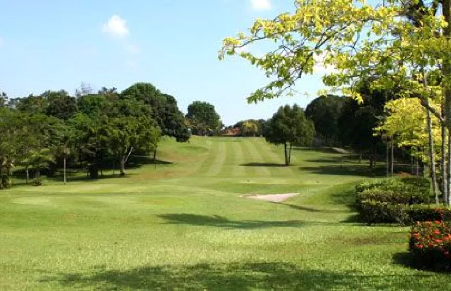 Palm Resort GCC - Allamanda