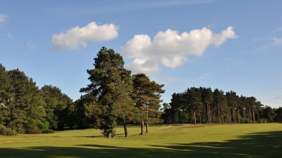 Bixley at Ipswich GC: #4 & #6