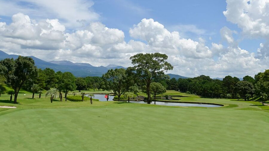 Kagoshima Kuko 36 CC
