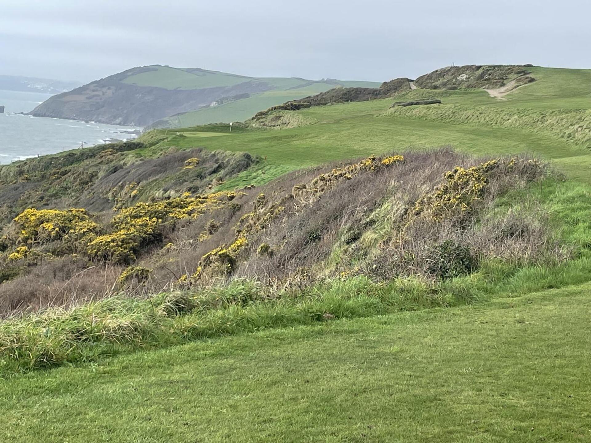 (Photo submitted by u853909582 on 02/24/2026)