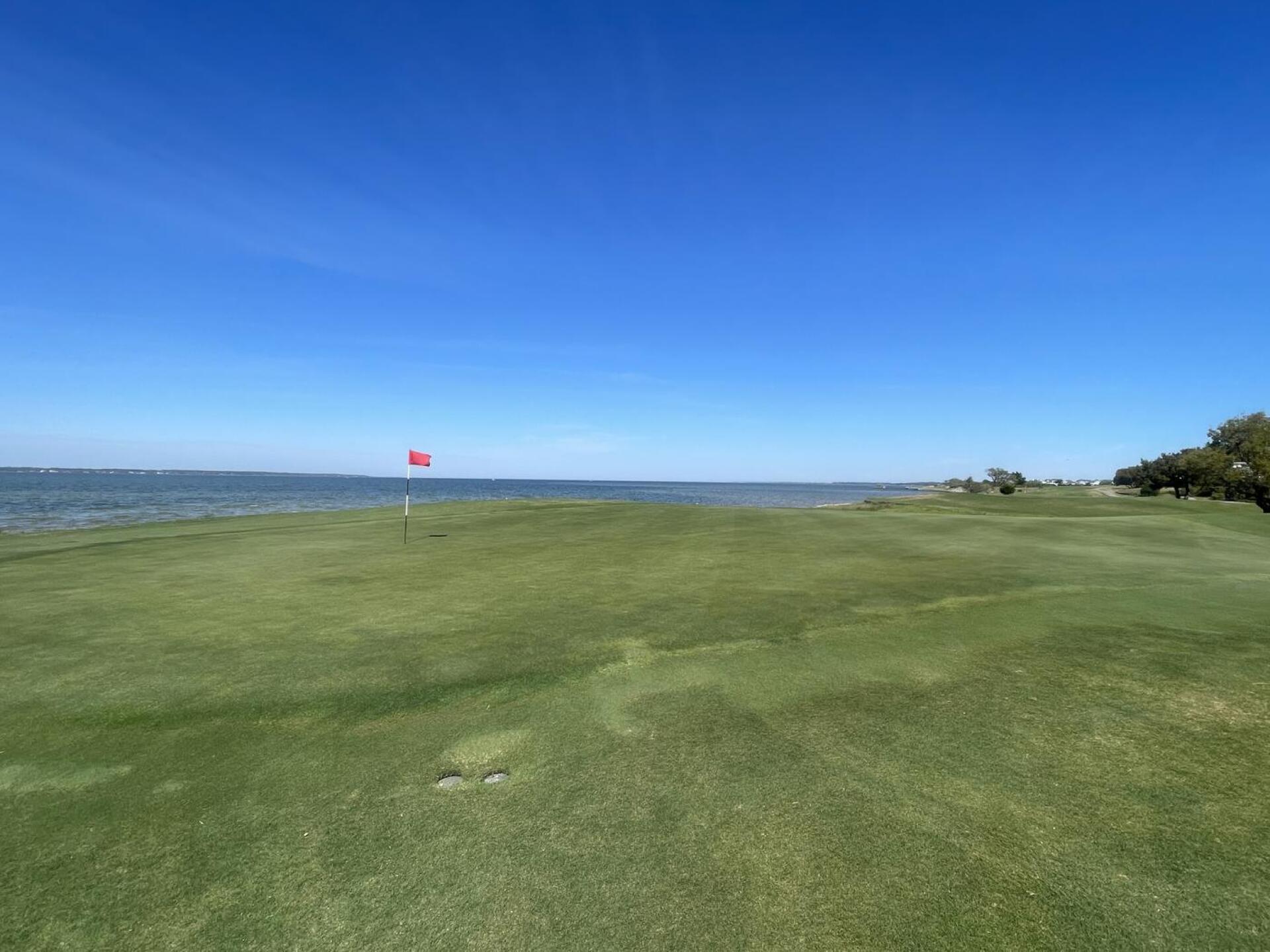 (Photo submitted by u296891970 on 04/17/2023)