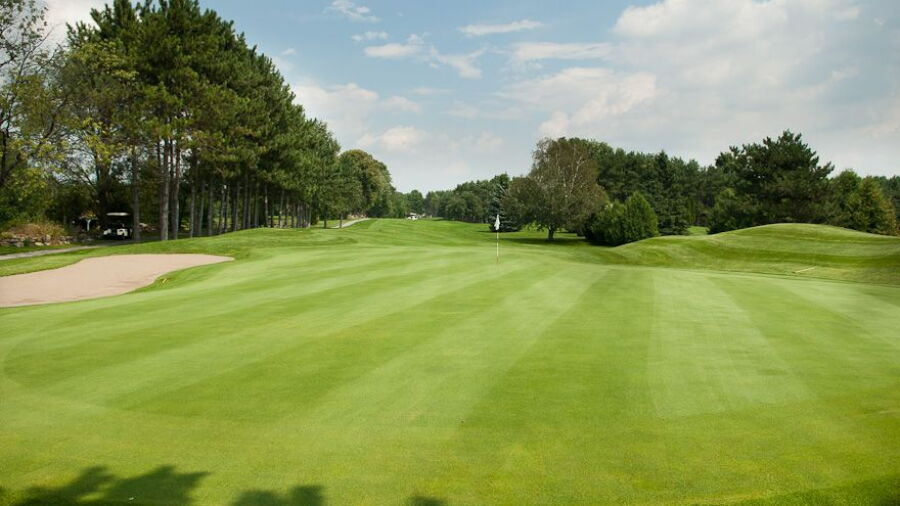 Six Foot Bay R GC: #11
