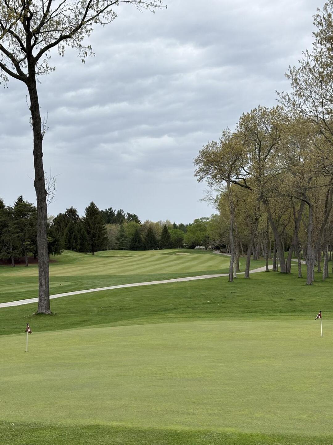 (Photo submitted by gn21755442 on 04/30/2025)