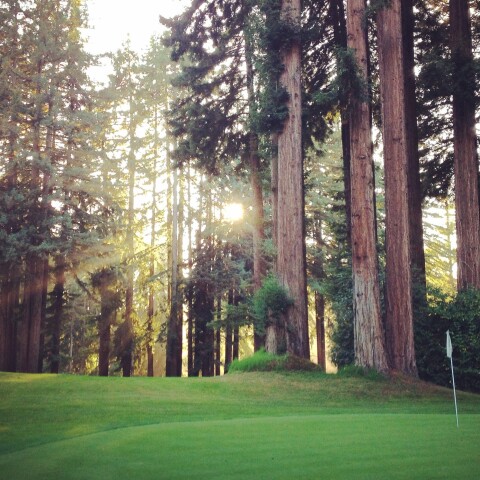 Northwood Golf Course