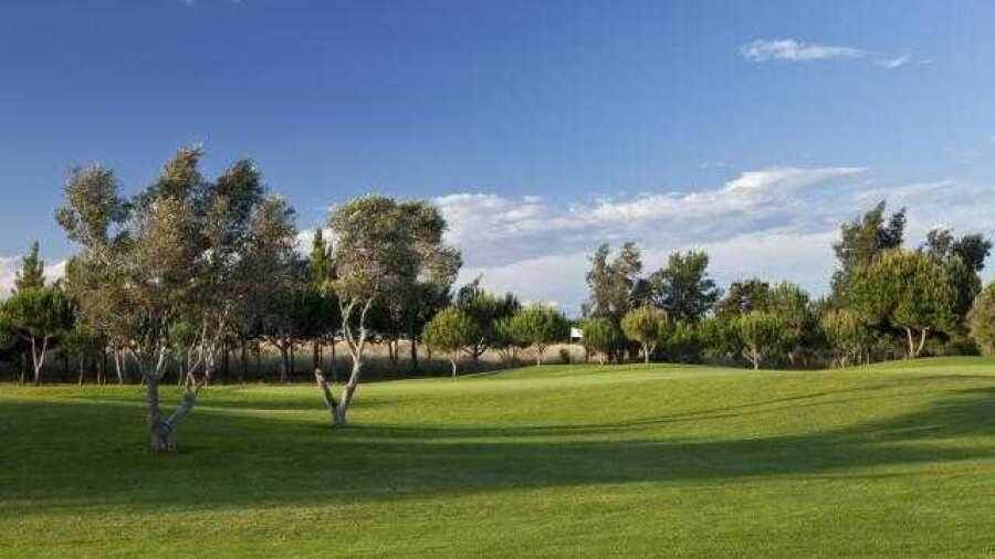 Dom Pedro Golf - Millennium