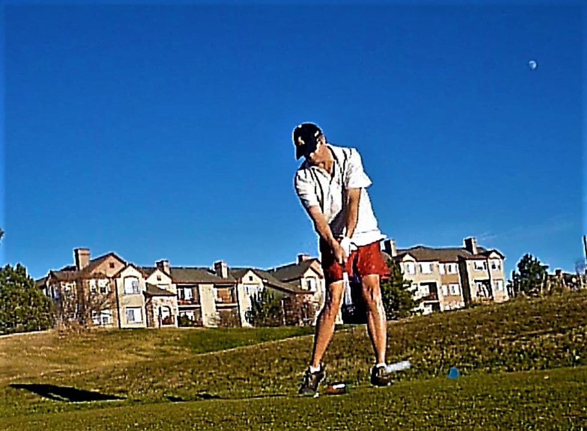 (Photo submitted by DiamondAces on 11/24/2023)