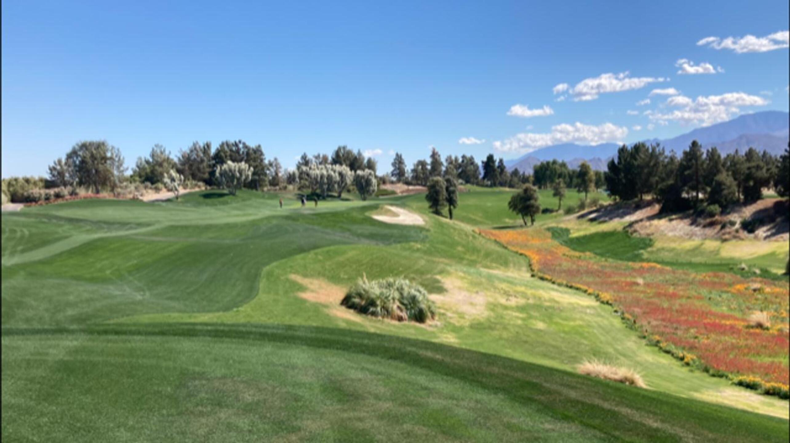 (Photo submitted by LICC on 04/01/2022)