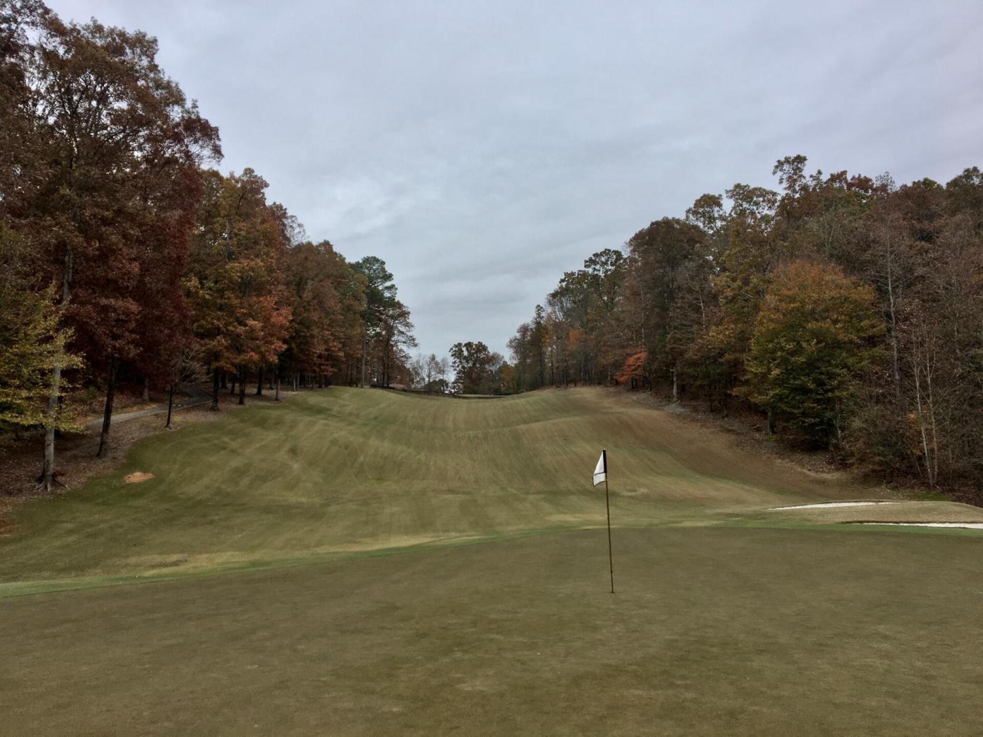 From behind the par-3 eighth hole (Photo submitted by BrandonWebb on 11/14/2019)