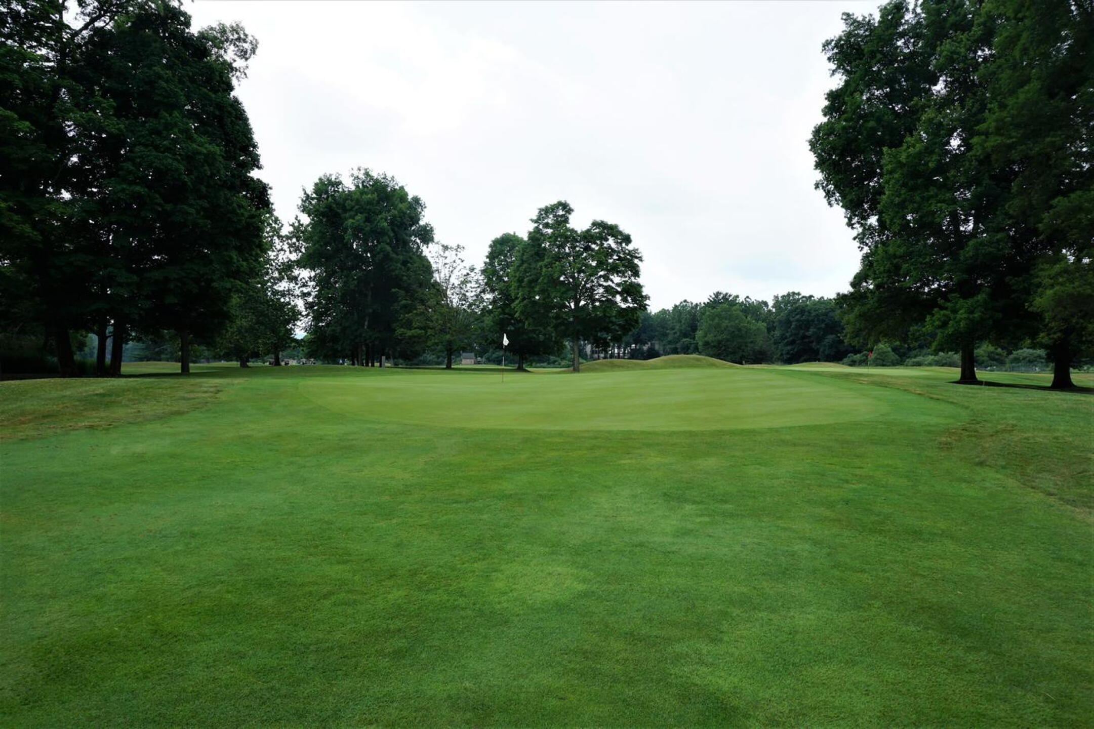 Flowing green contours at the fifth, a long and challenging four-par. (Photo submitted by AptlyLinked on 07/10/2020)