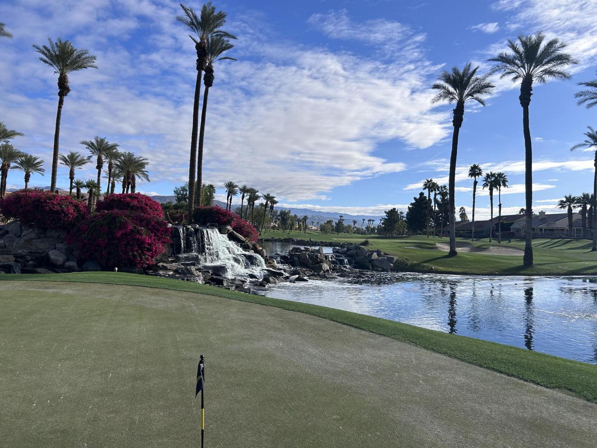 (Photo submitted by Ster15 on 01/06/2026)