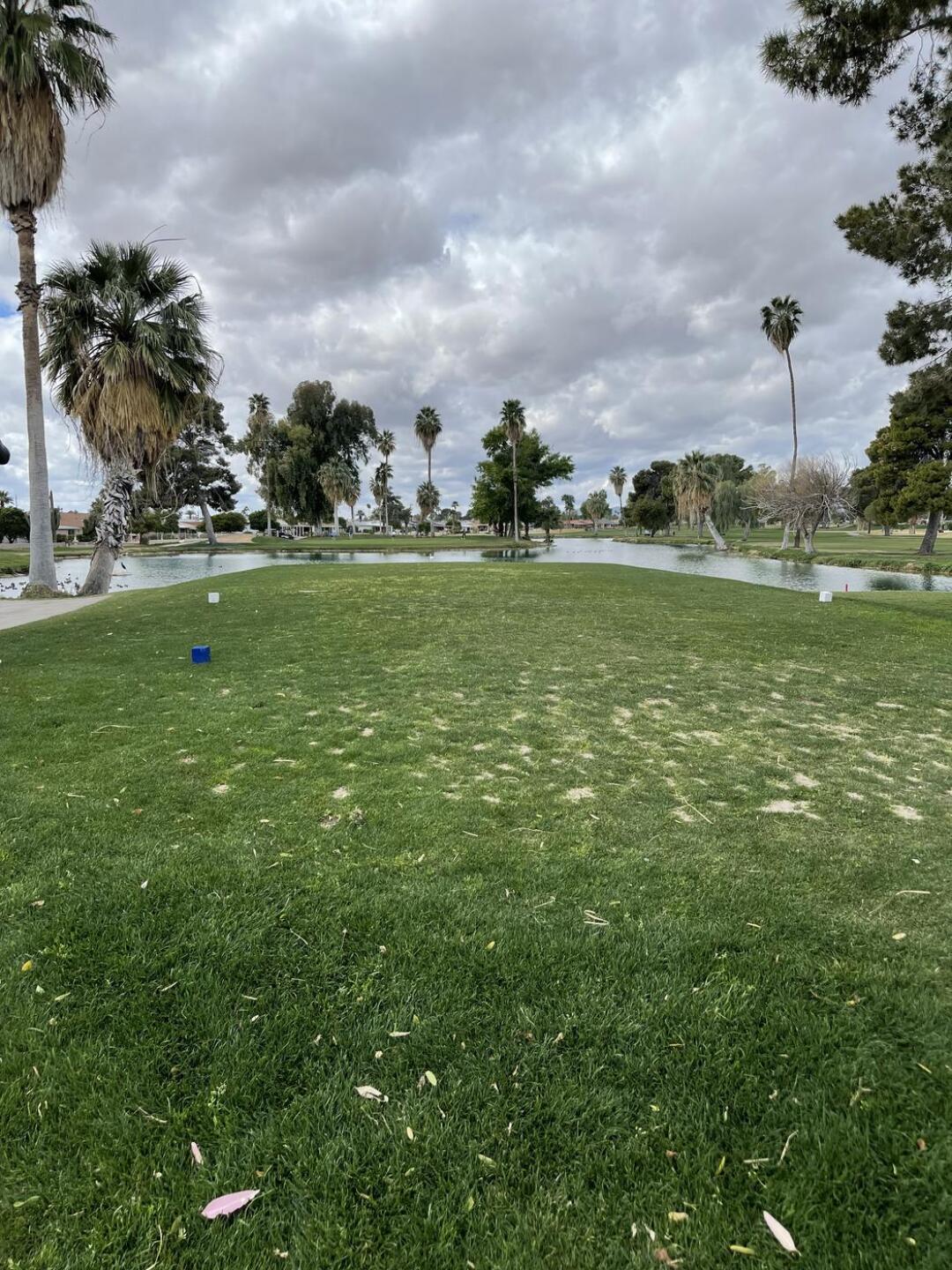 View (Photo submitted by Keith9843006 on 03/06/2022)