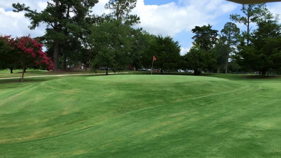 Bel Air GC: #5