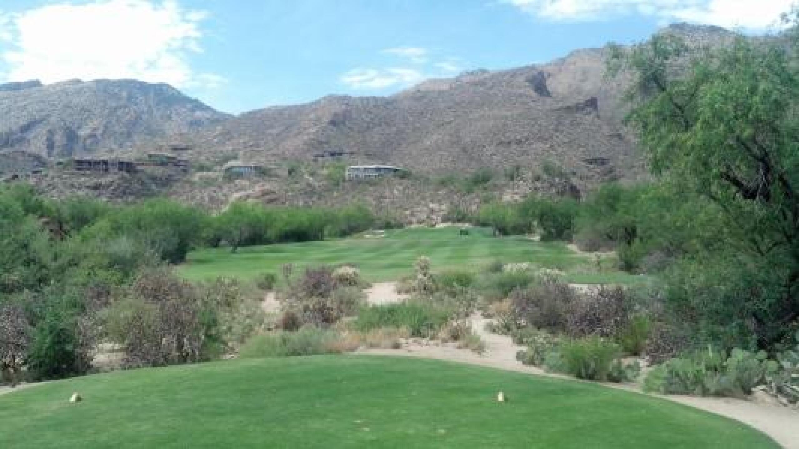 1st tee (Photo submitted by David9262534 on 05/27/2014)