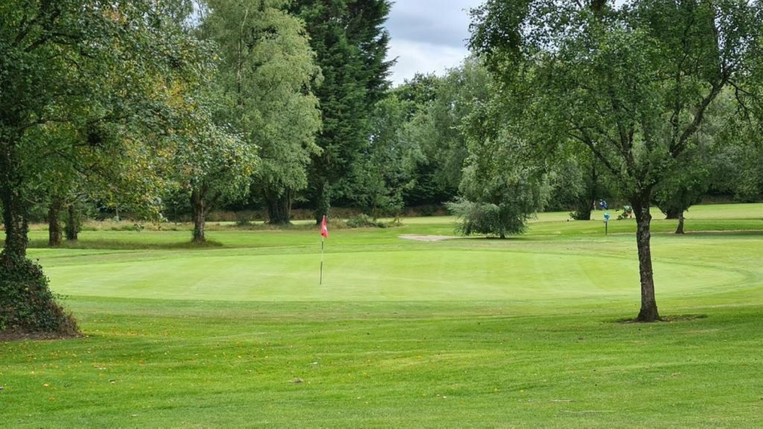 (Photo submitted by ljbd999 on 08/05/2020)