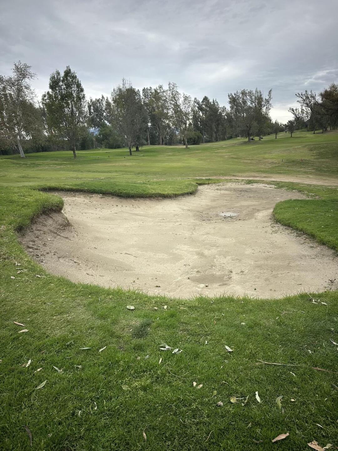 (Photo submitted by JohnMartii on 01/01/2026)