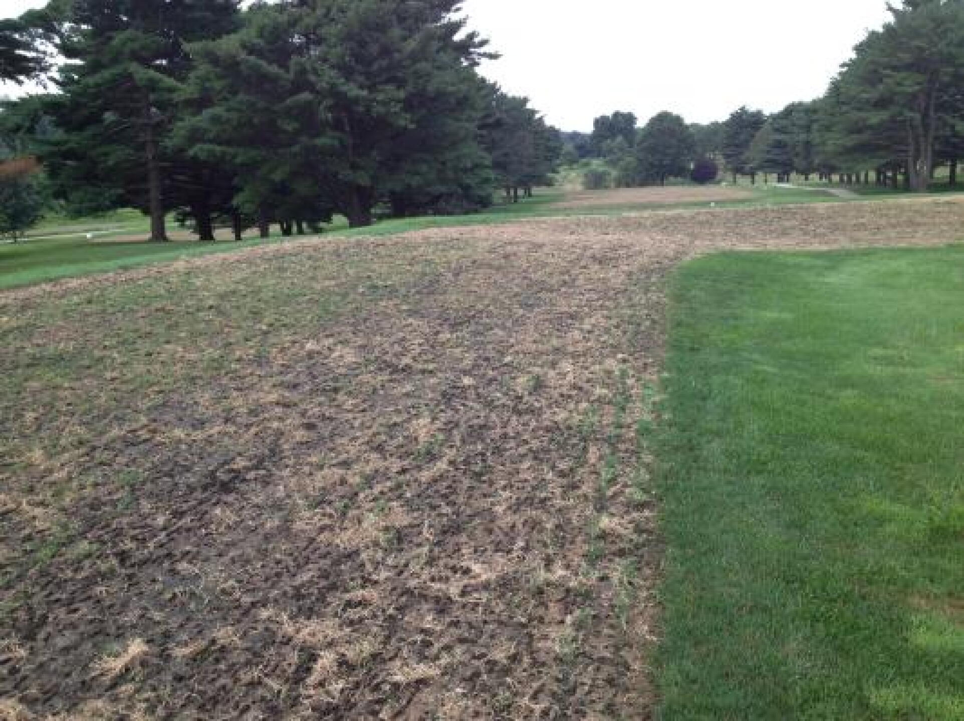 1st Tee (Photo submitted by stras2000 on 07/28/2013)
